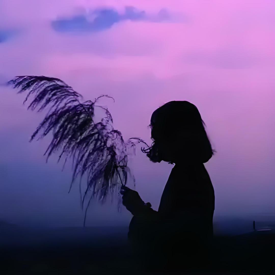 🌱清欢
