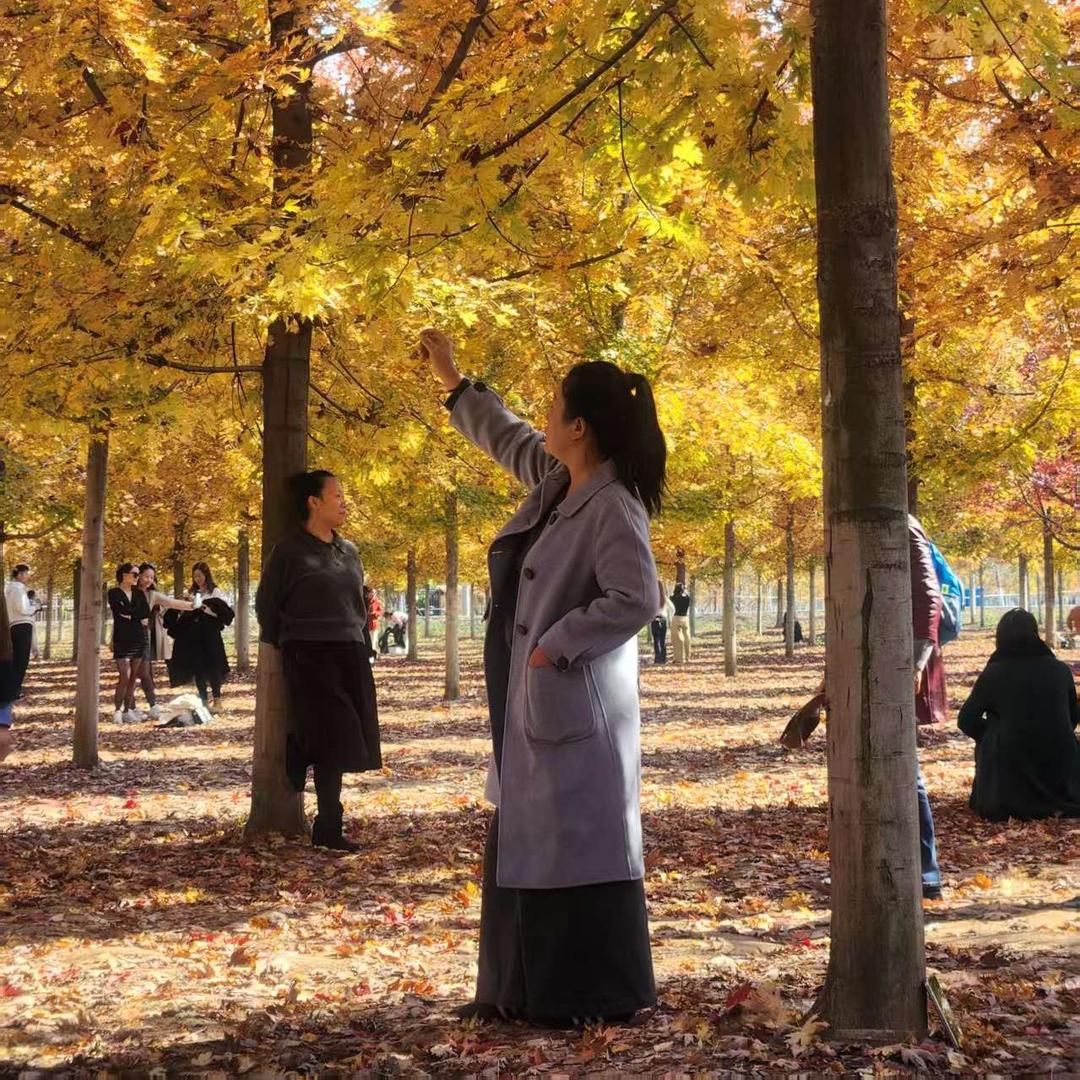 张庄大庆铁锅顿