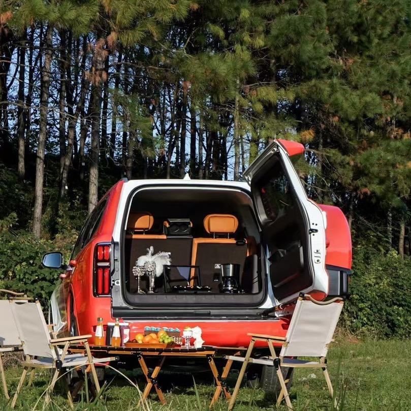 武当玩车派(李嘉宸)