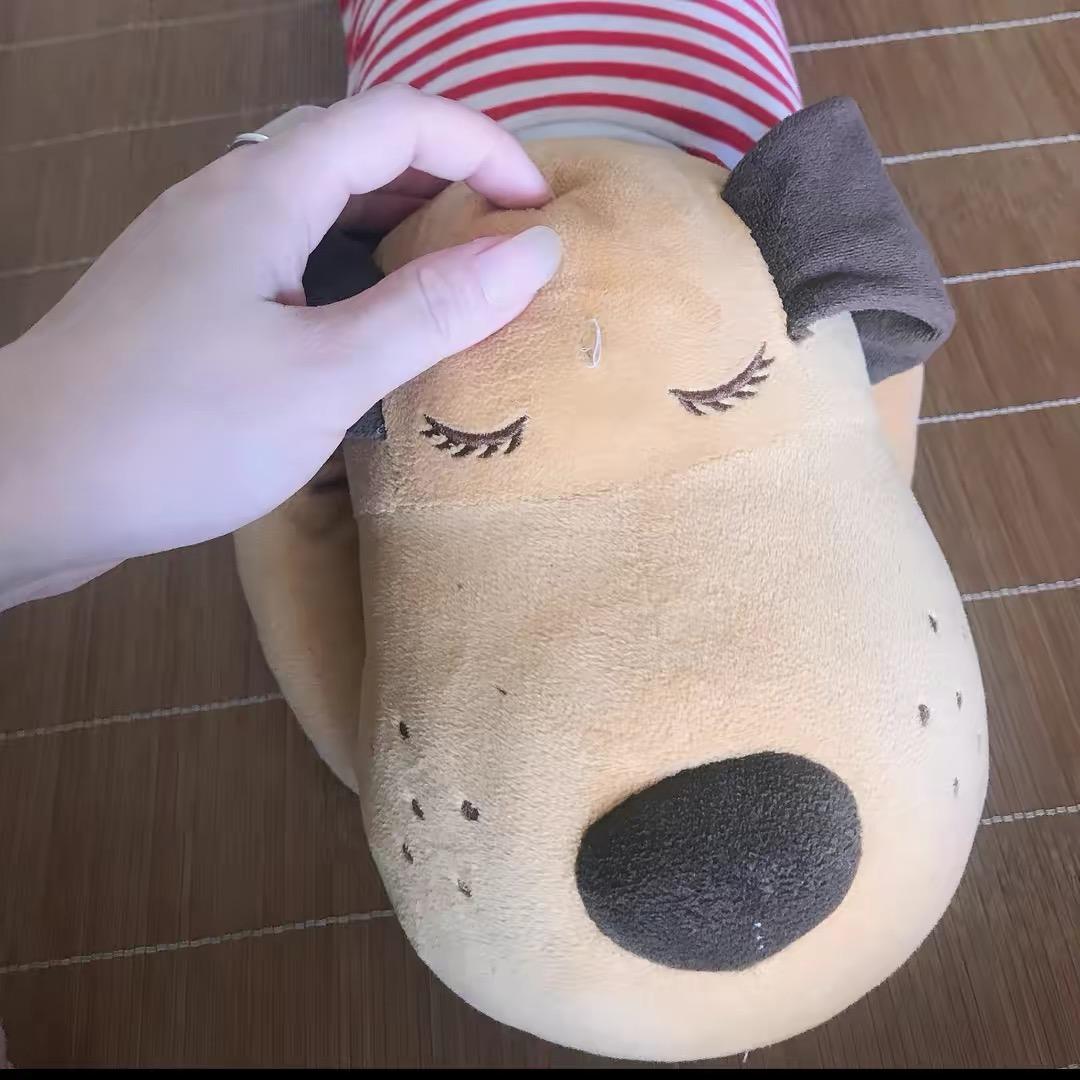 葉家人