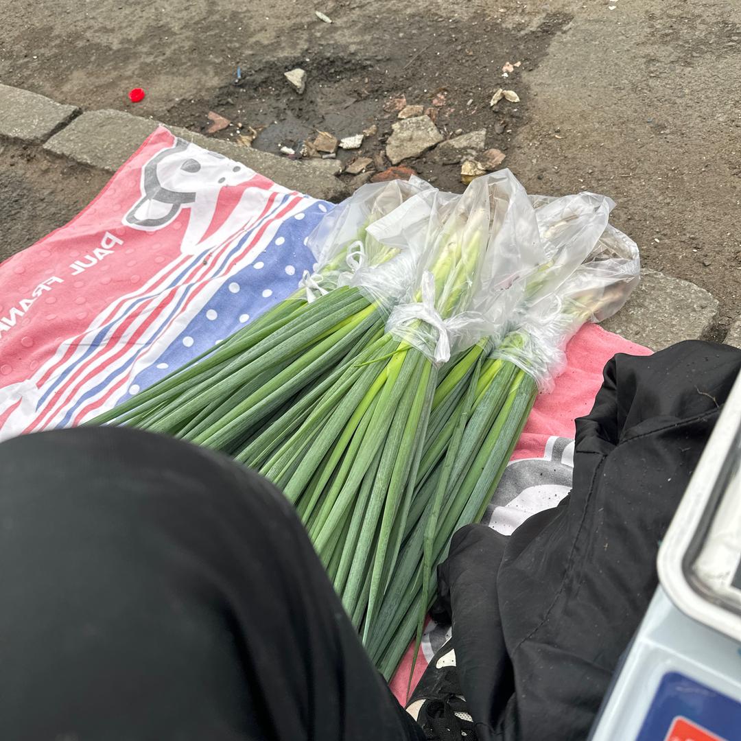 东北大阳洋