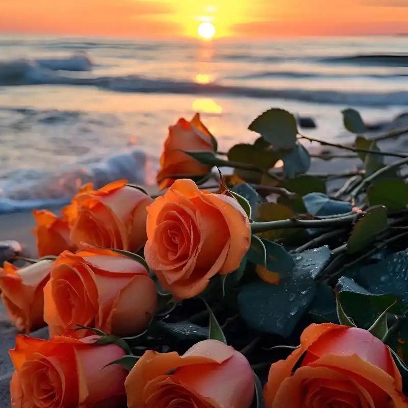 星河不知意( ˘ ³˘)❤