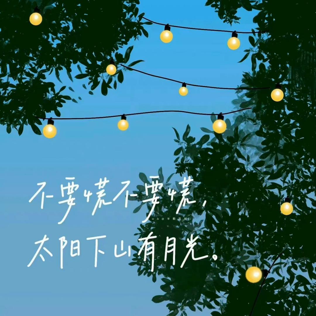 与字好好相处🌱