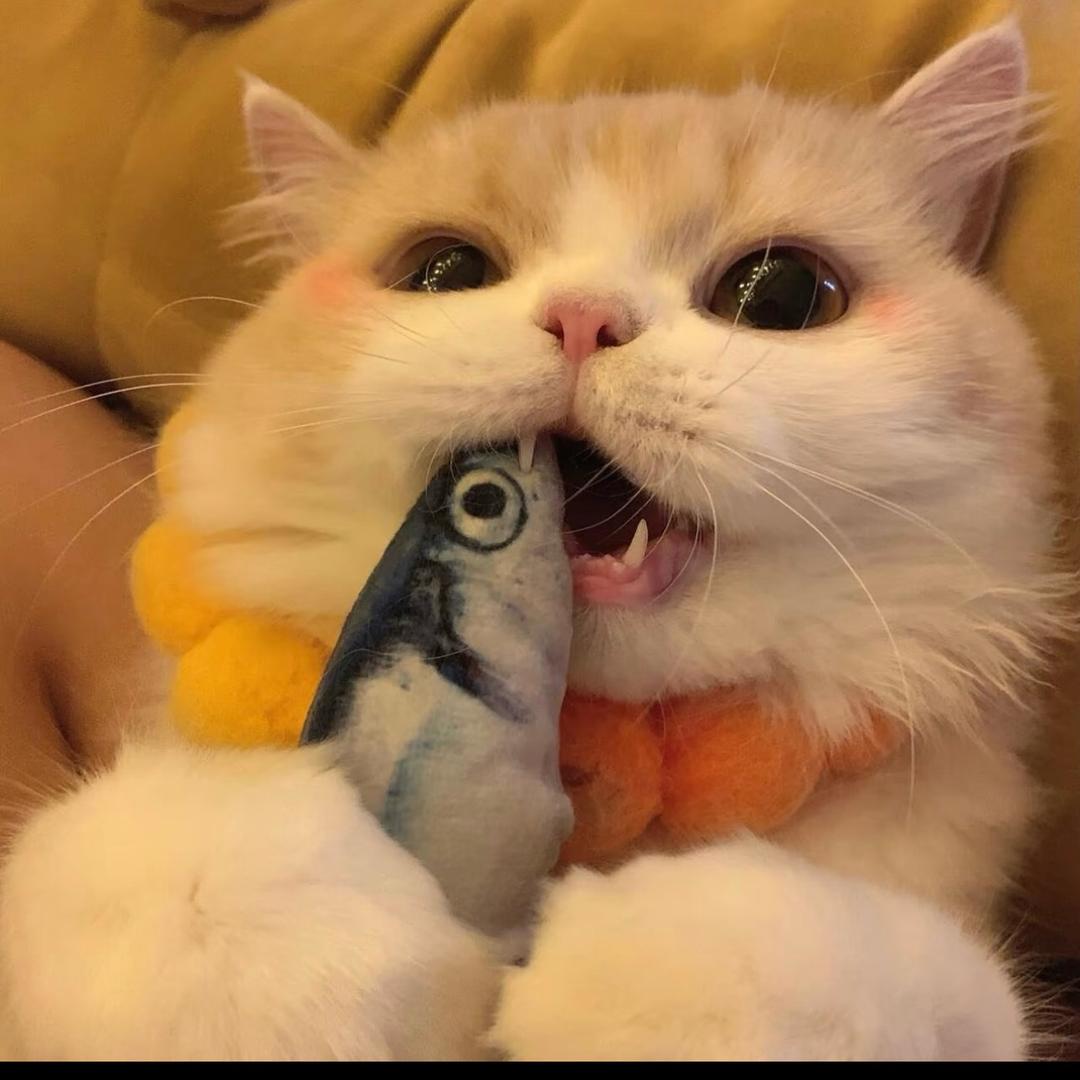 开心一点吧