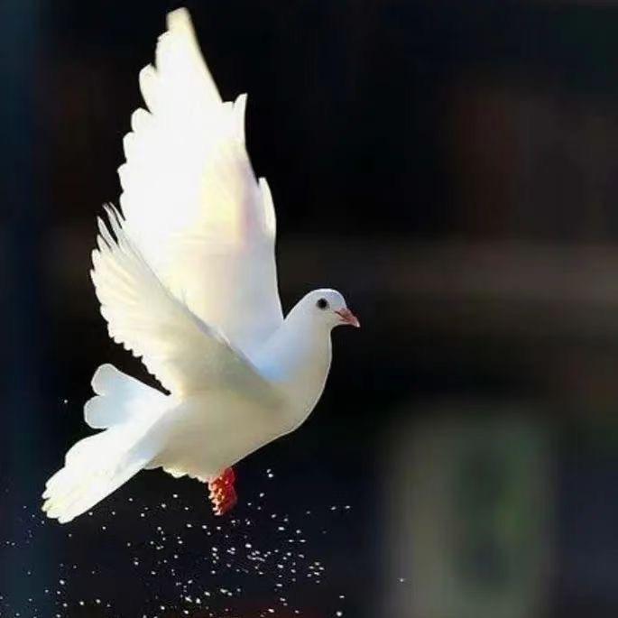 阿不都沙拉木😃