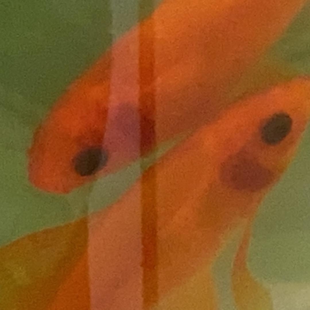 花花世界