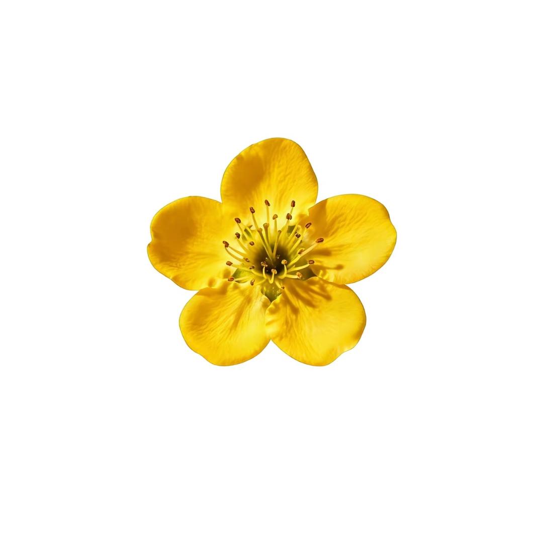 露露露露露露露露