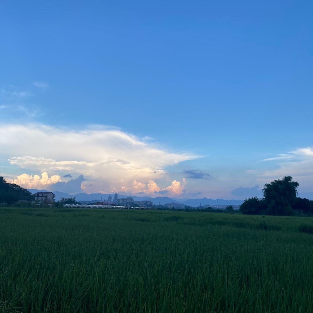 小女子蘇