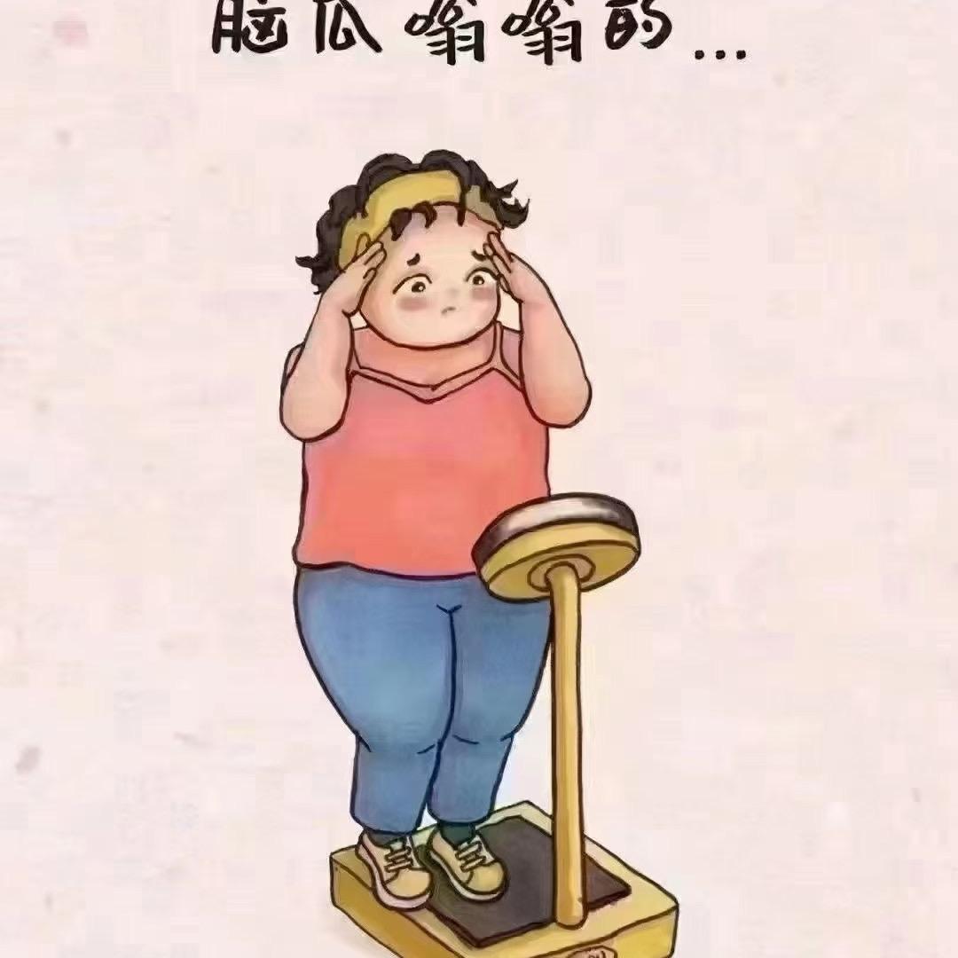 李树树🌳