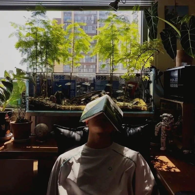 白水霖