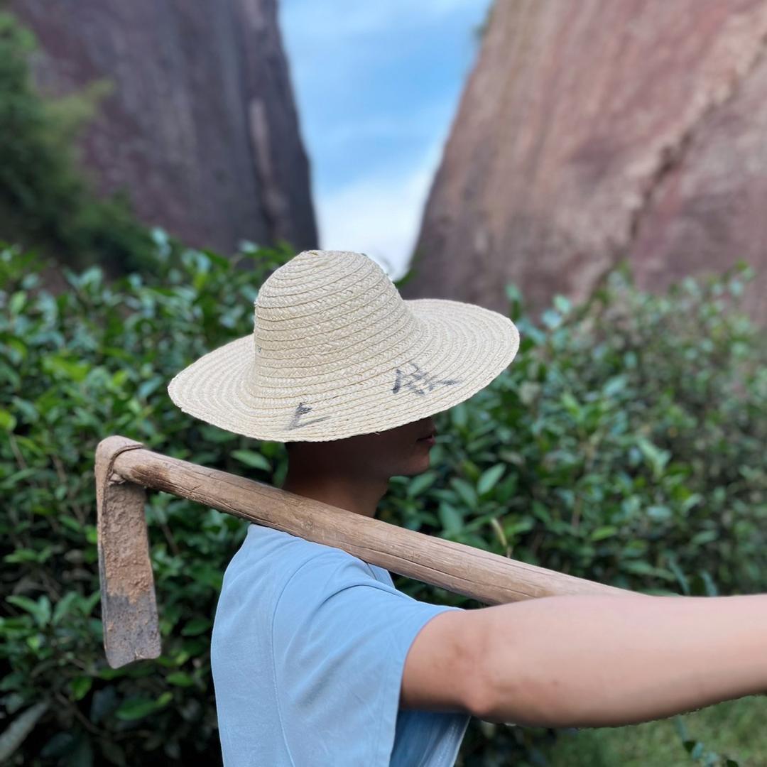 山君爱饮茶