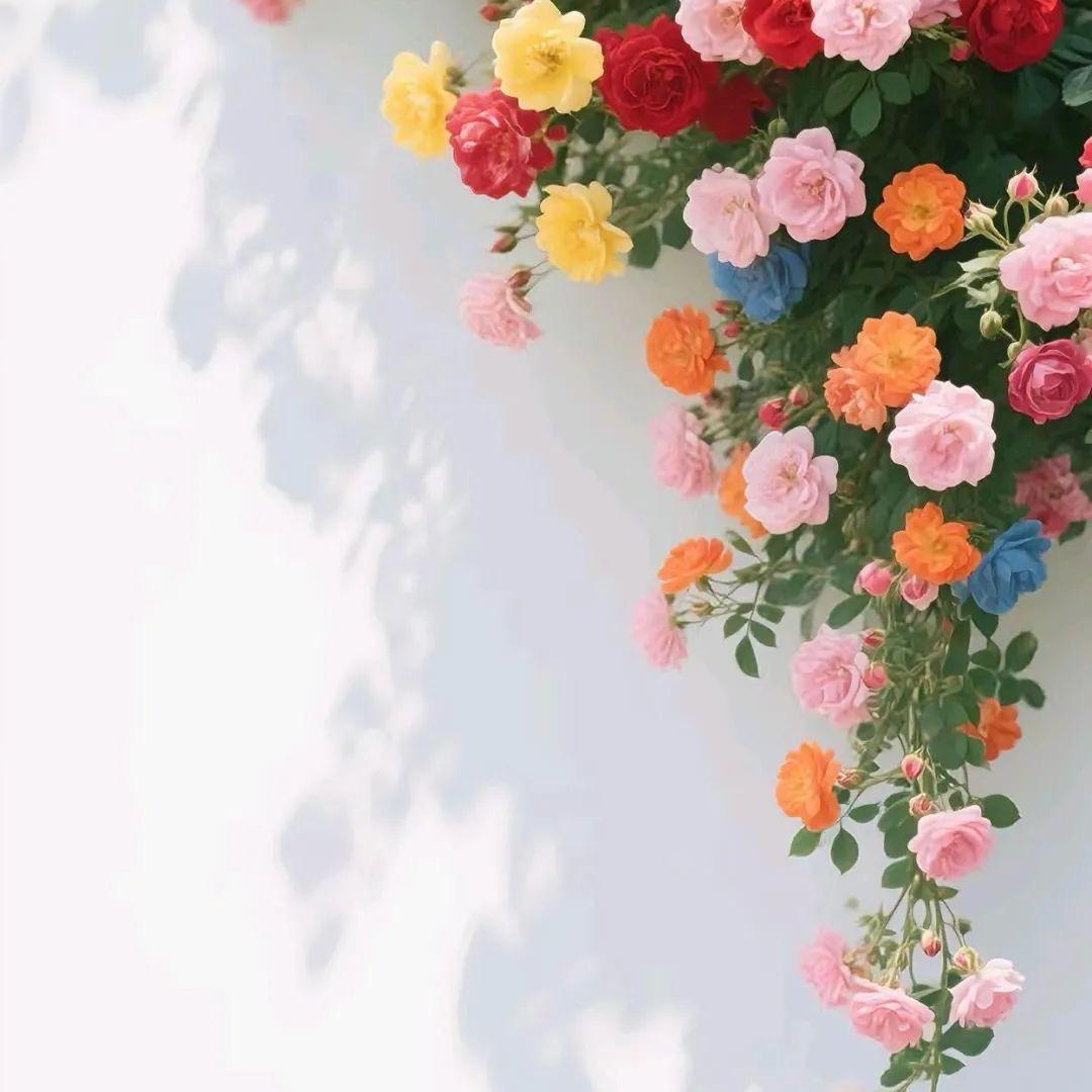 不知名的小人物