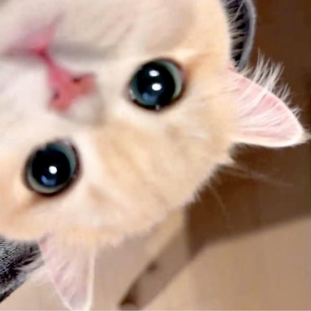 我吃饭不看手机