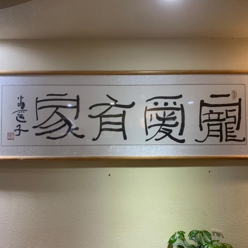 口袋精灵🧚🐶