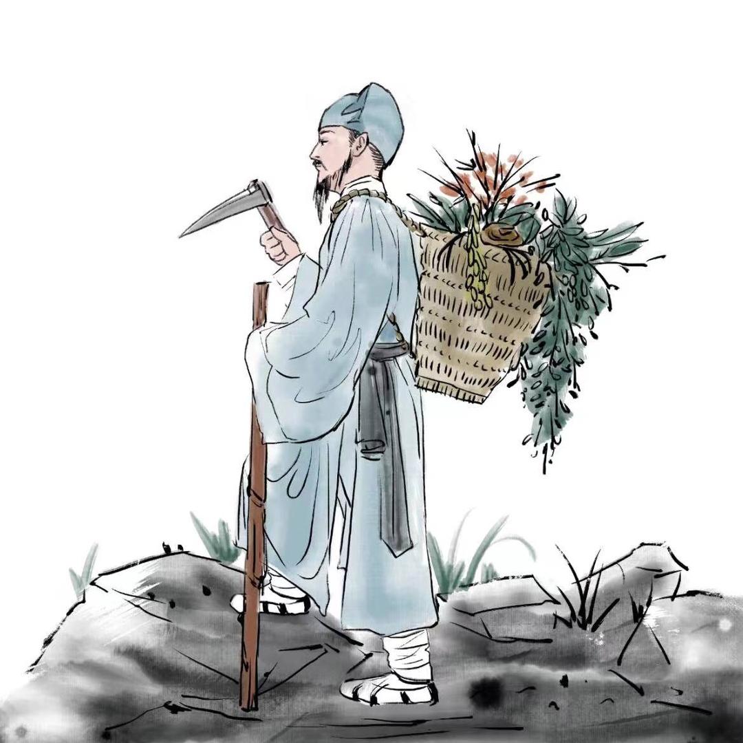 蒲芹🍃