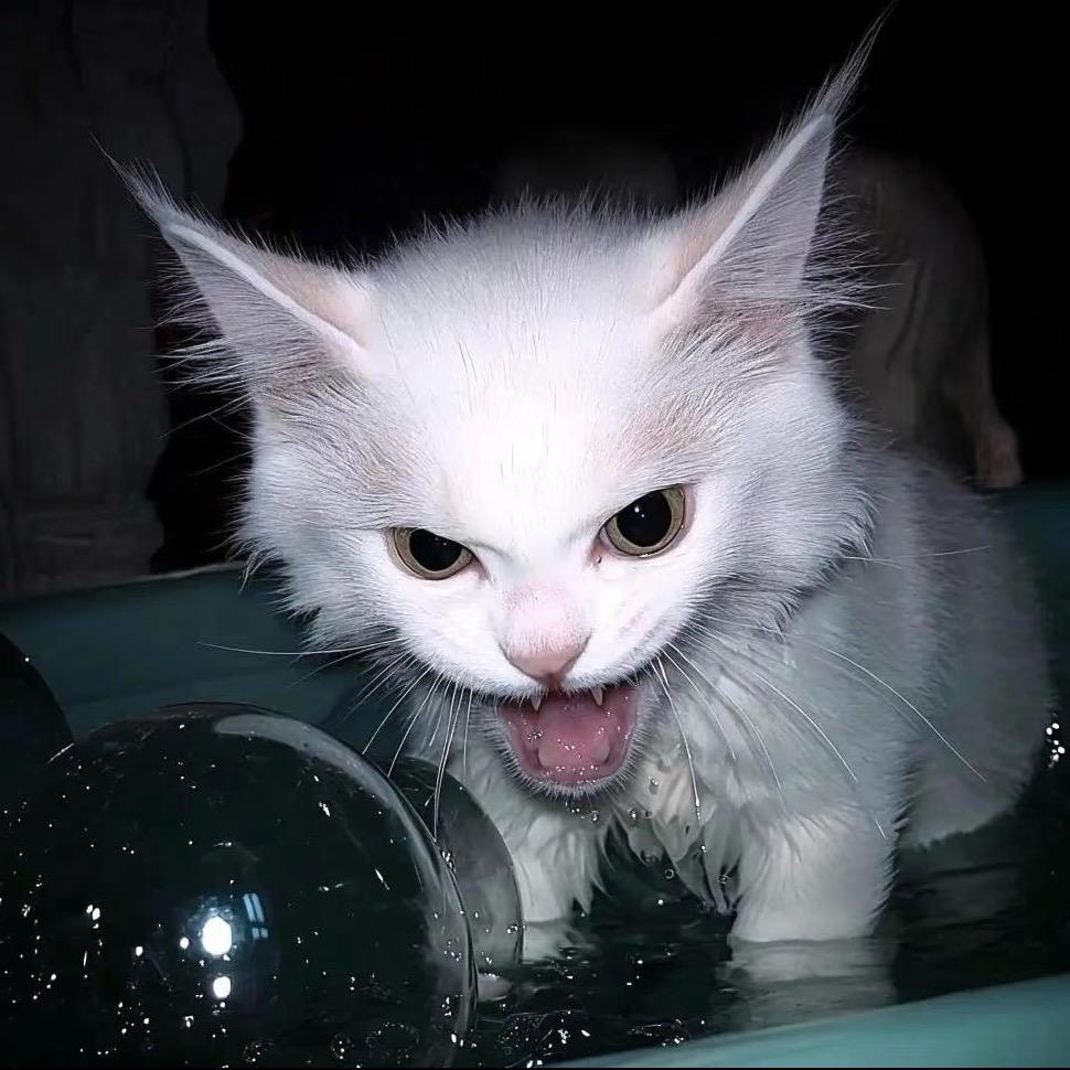 下次看海约在哪儿