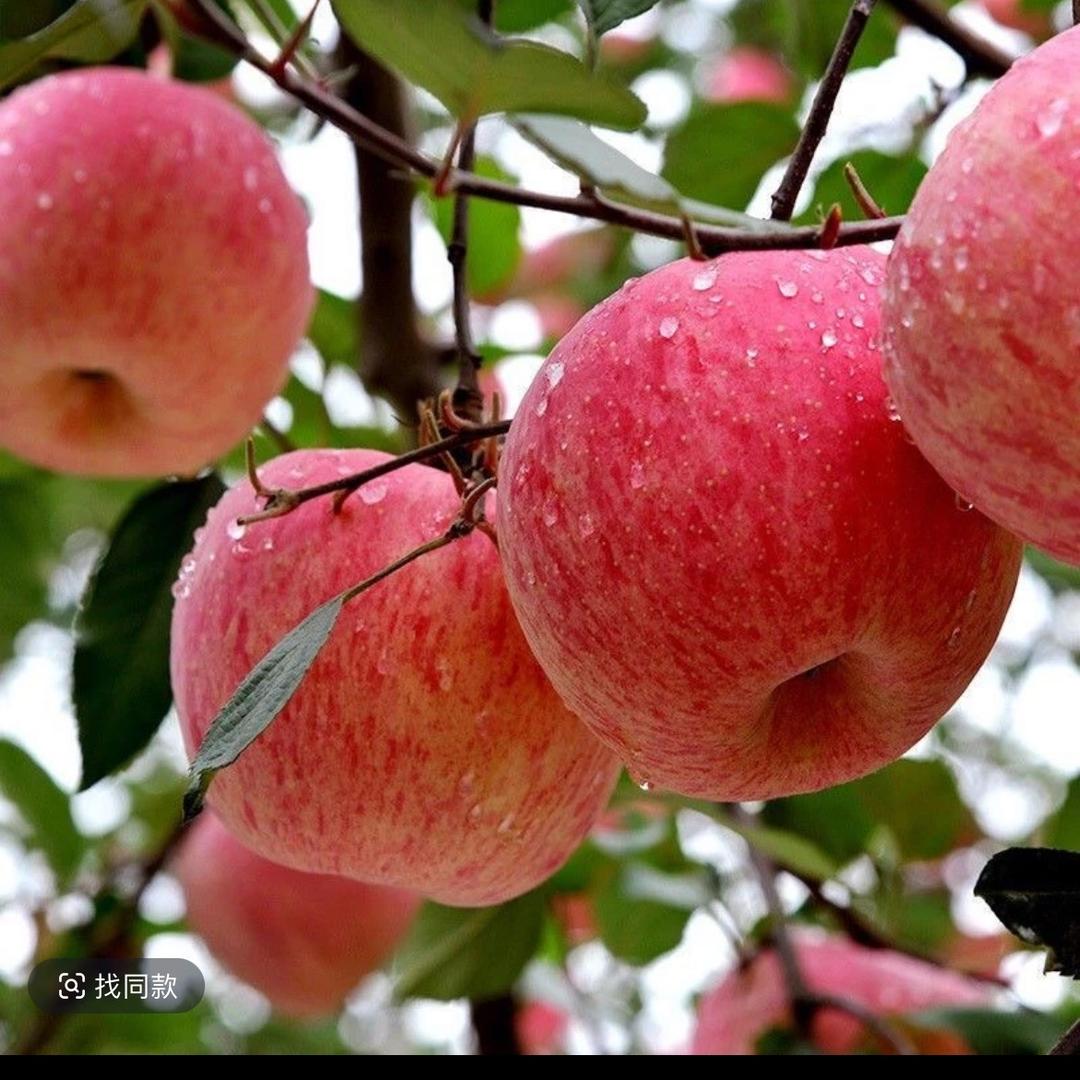 你能搜到直播间可以呀！