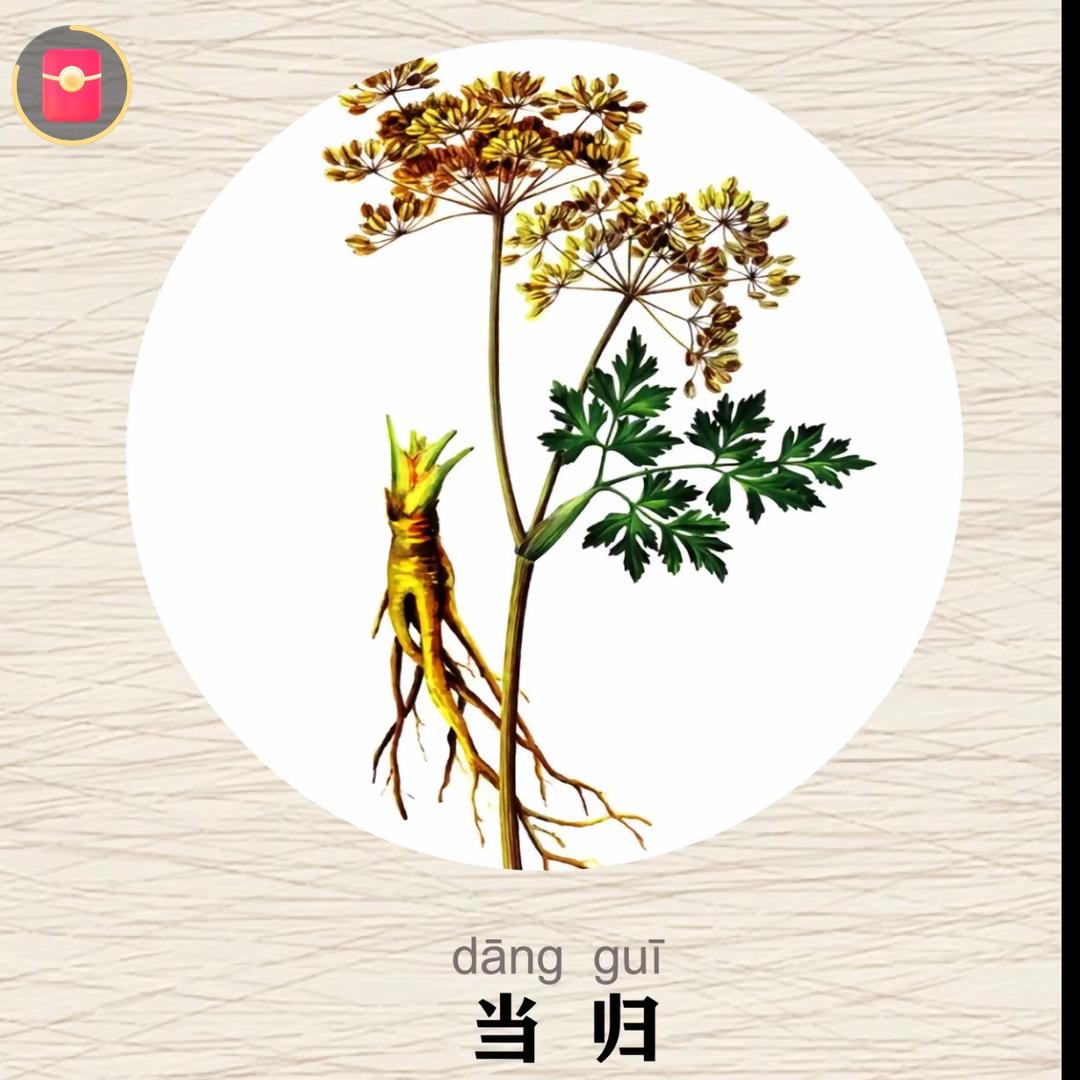 当当药材