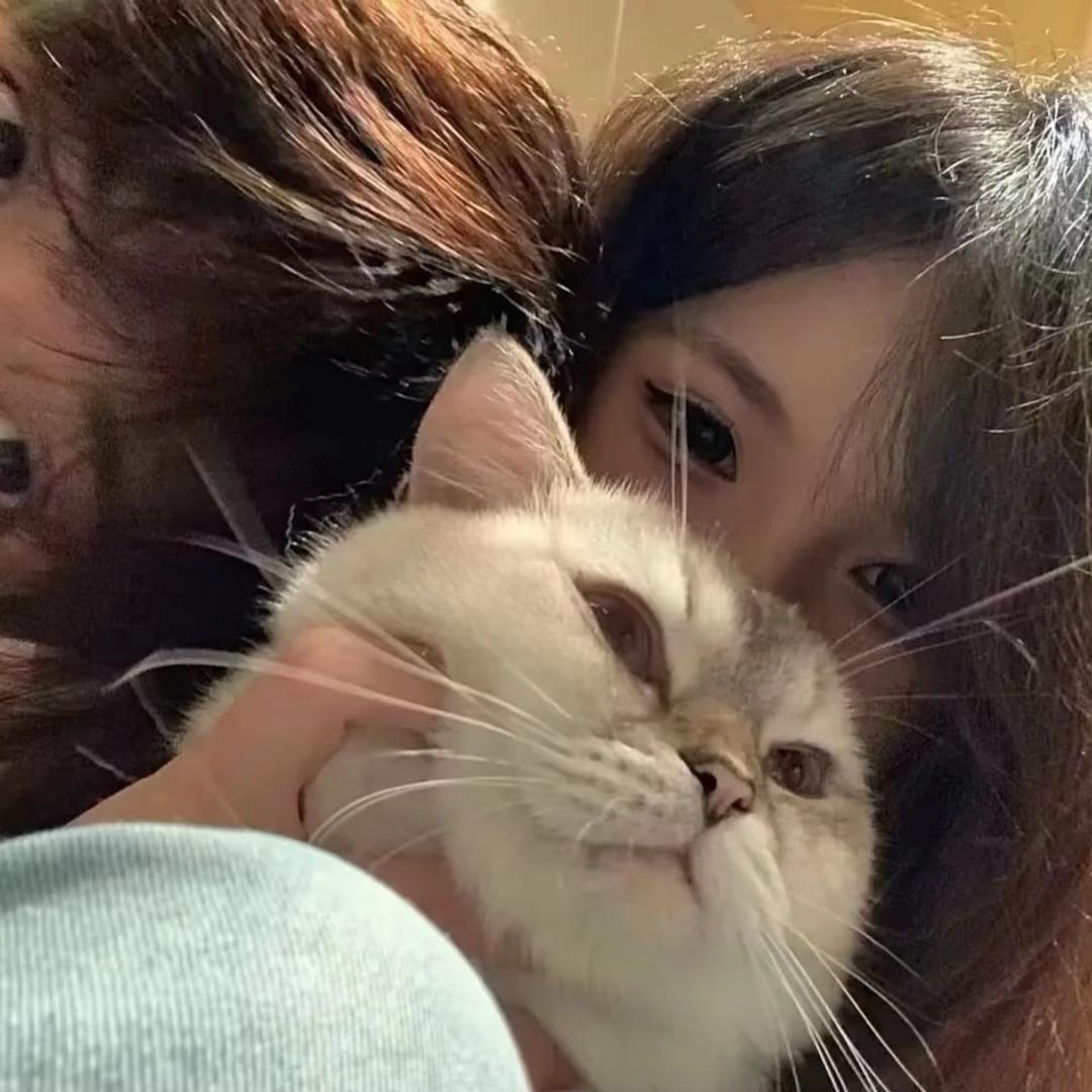 昊..