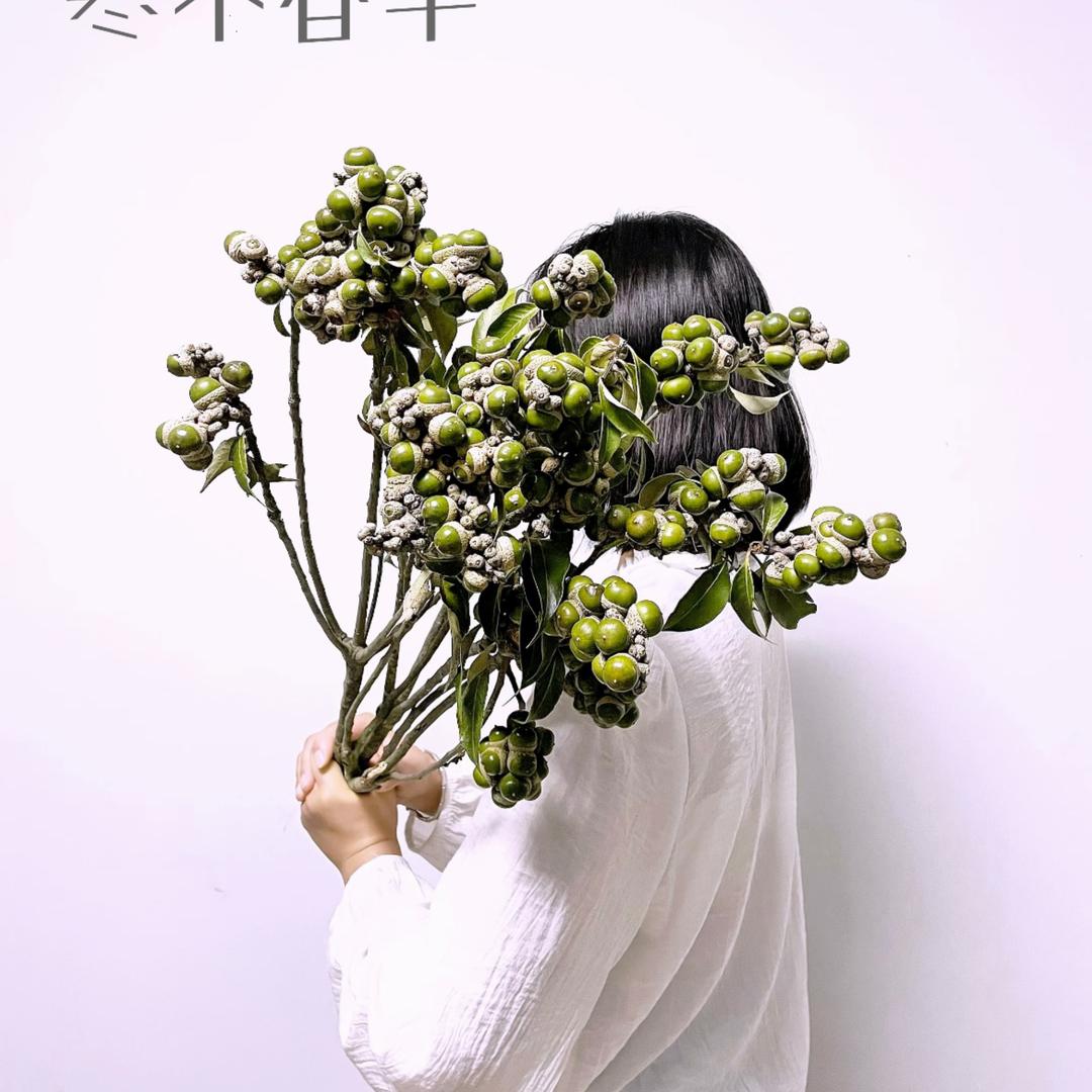 寒木春华「flowers」