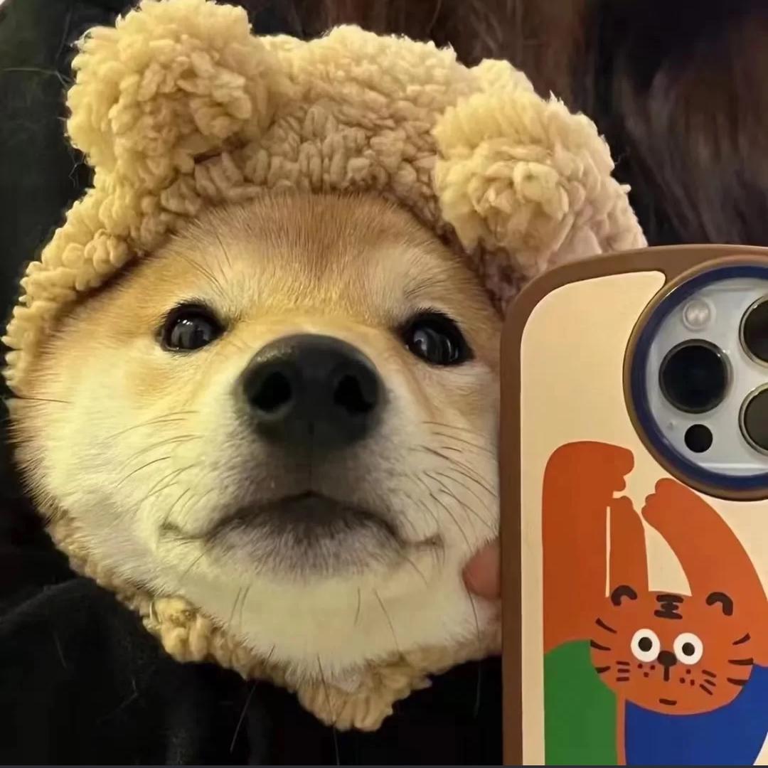 見¹面嗎