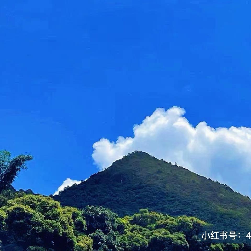 避暑康养-雲霖仙宇