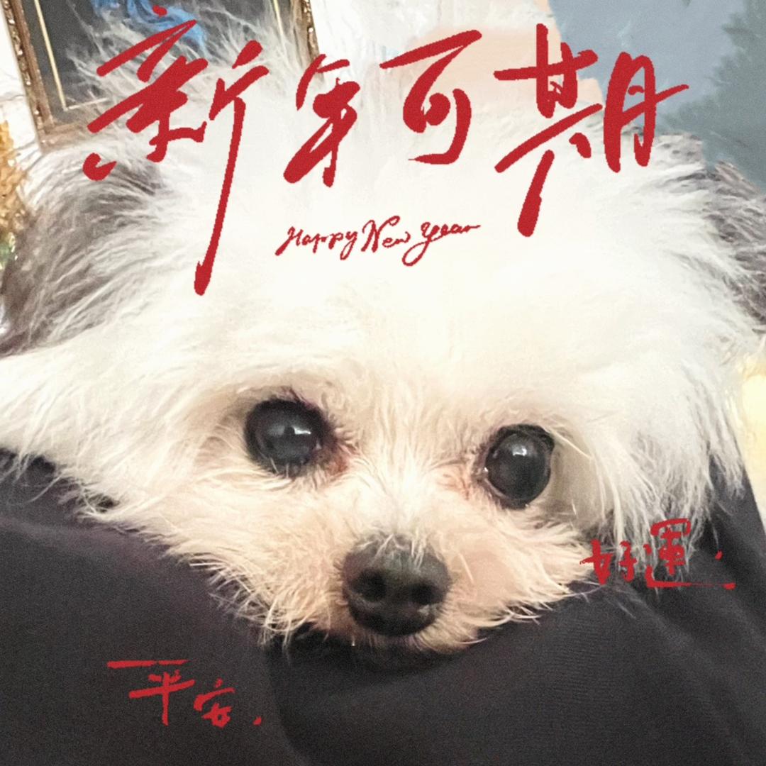 奥利奥🍭小饼干🍪