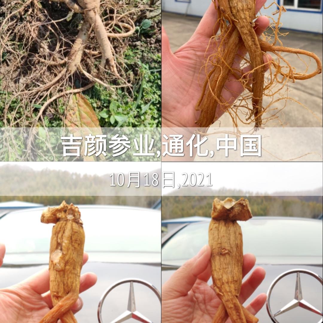 @吉颜参业