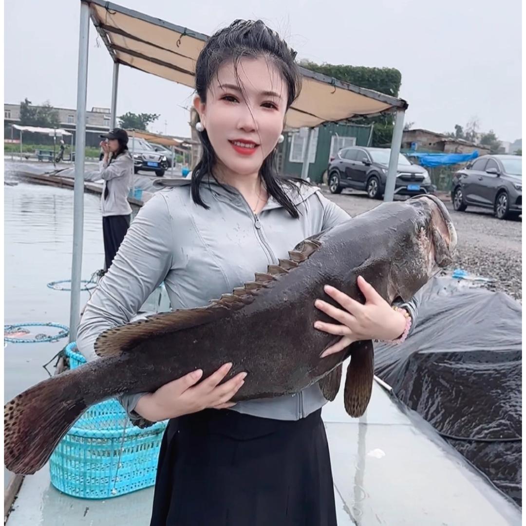诺诺爱钓鱼