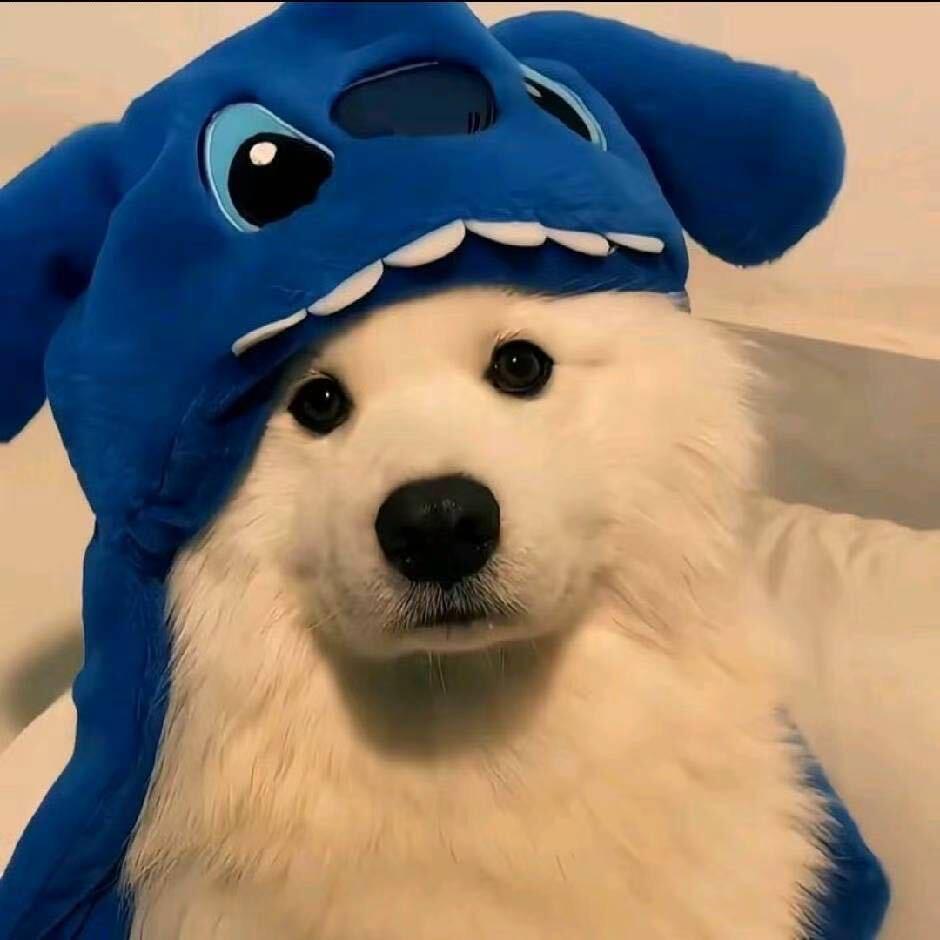 轩轩喜欢花臂女