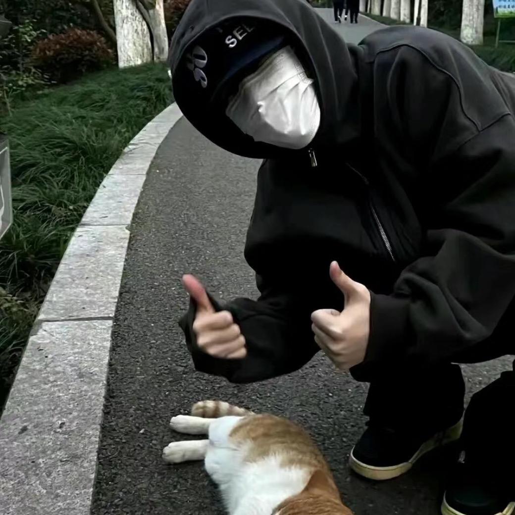 尘起