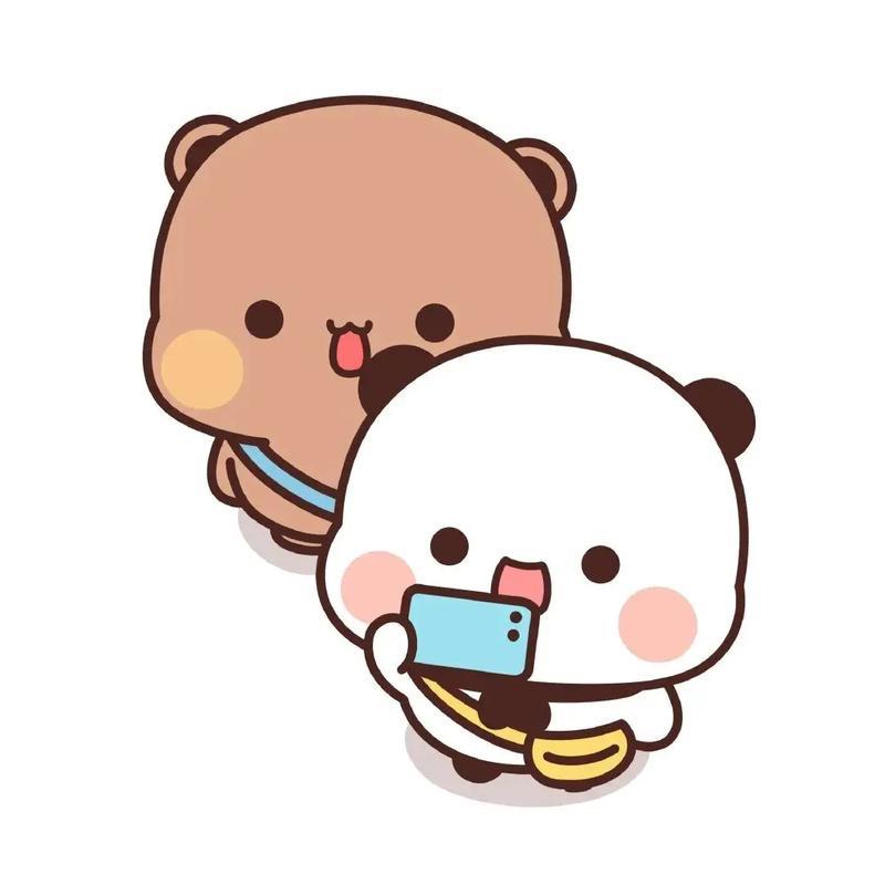 呆小布精选