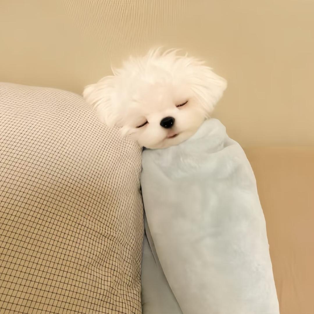 芋泥妹头像