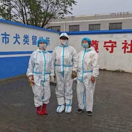 包头仁宠爱心团队