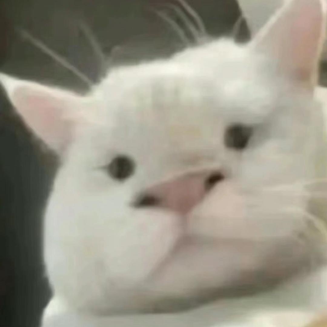 暴暴会爱你