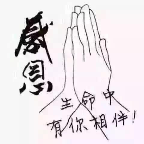 抖抖