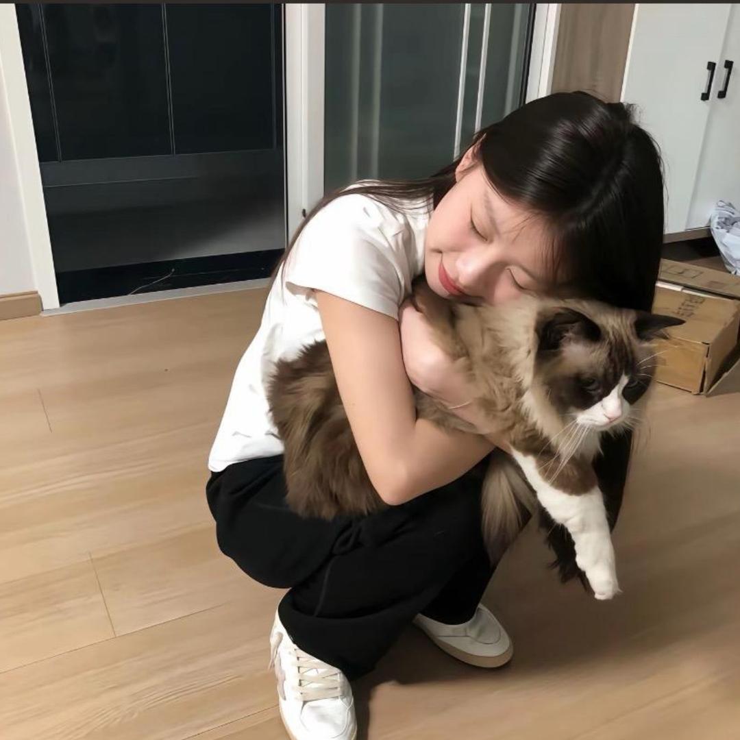 _巷子里的猫