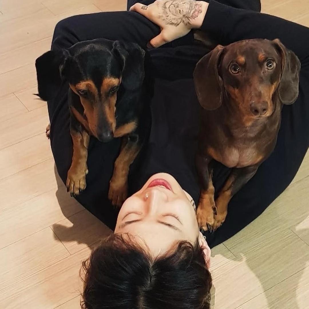 行就行不行拉倒