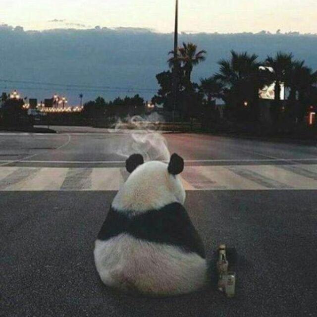 爱意随风起゛