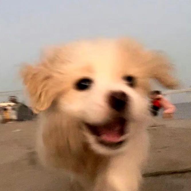 临沂3秒黄灯战神