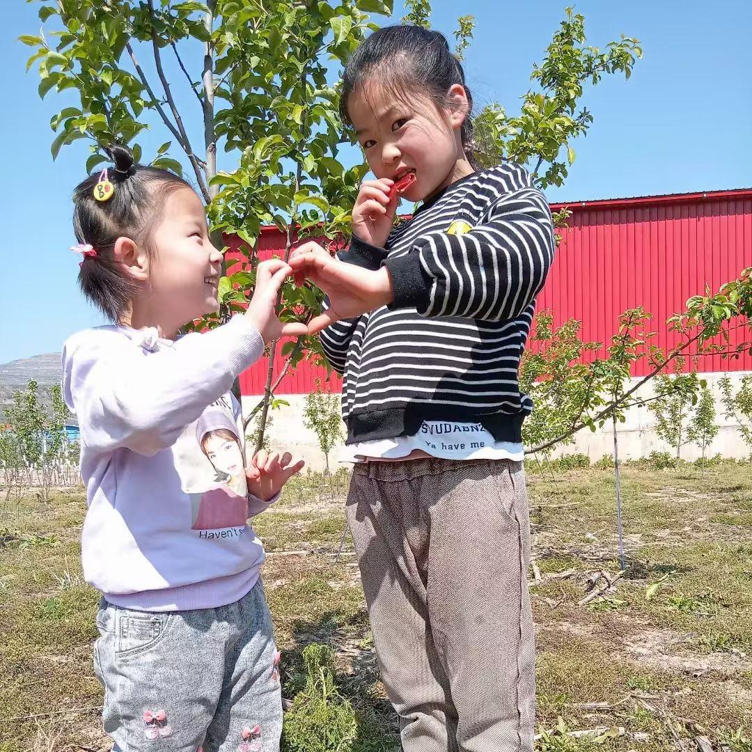 心想事成❤️飞飞