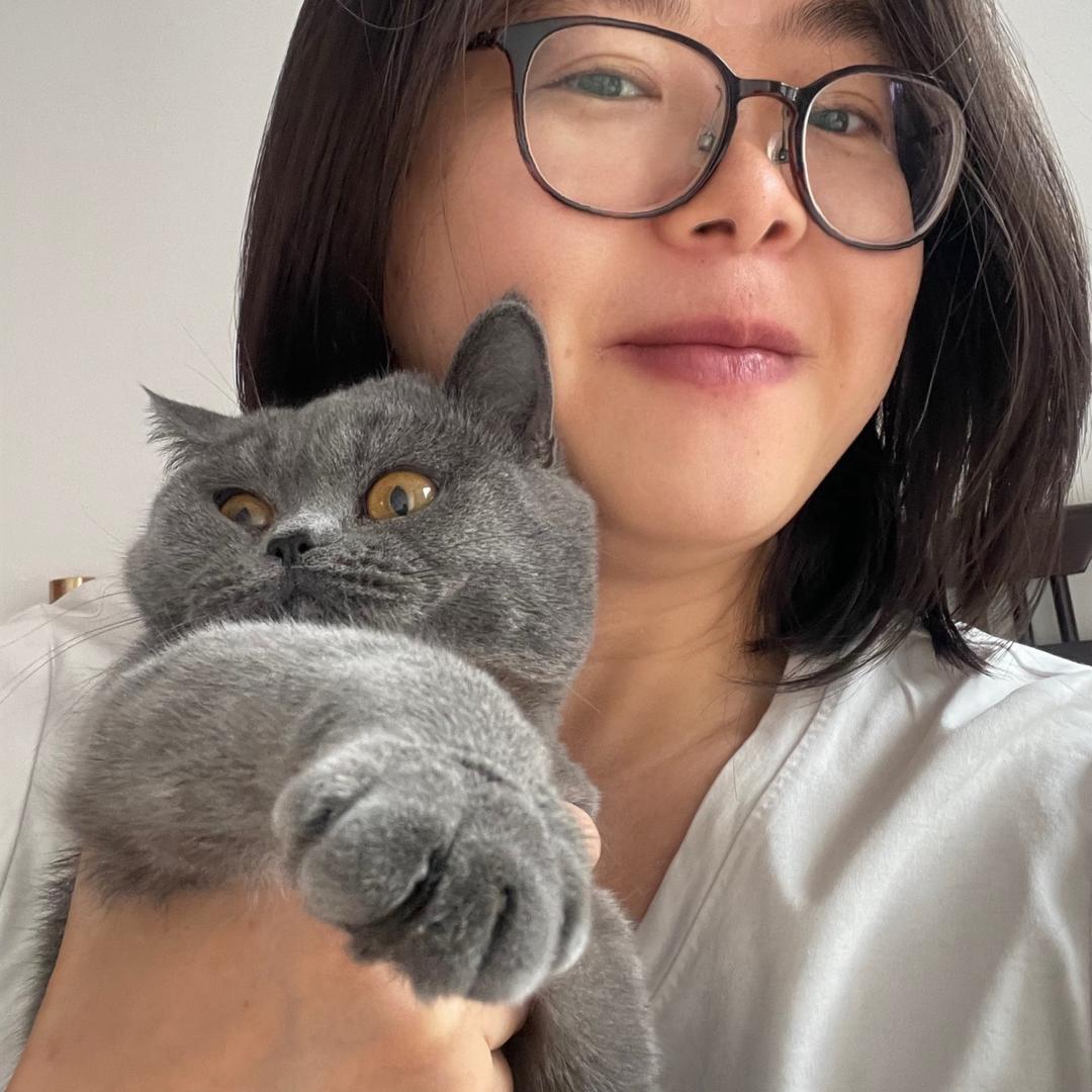 张小厨的小喵咪