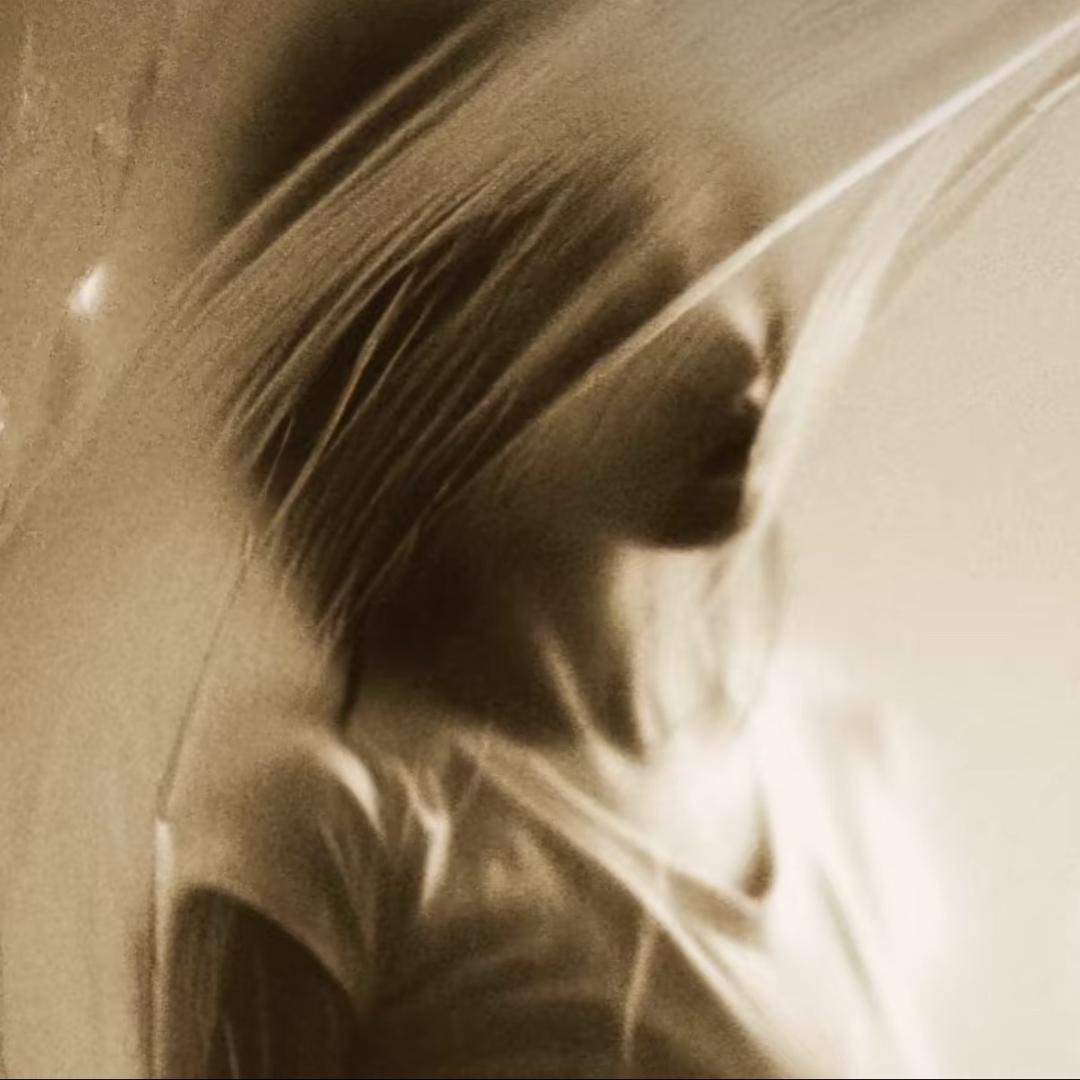 🌻豆儿（减肥版）