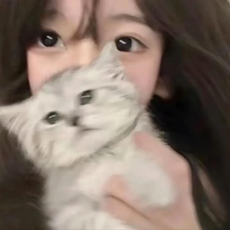 梨子.