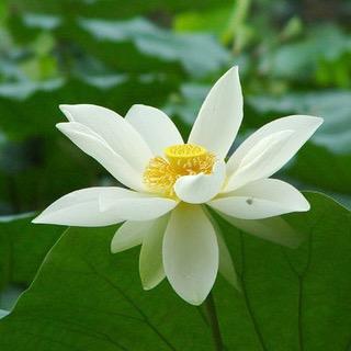 一见女神误终身