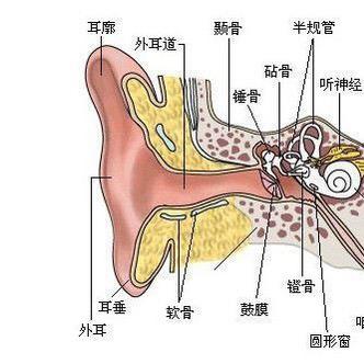 成都采耳哥-可视挖耳勺