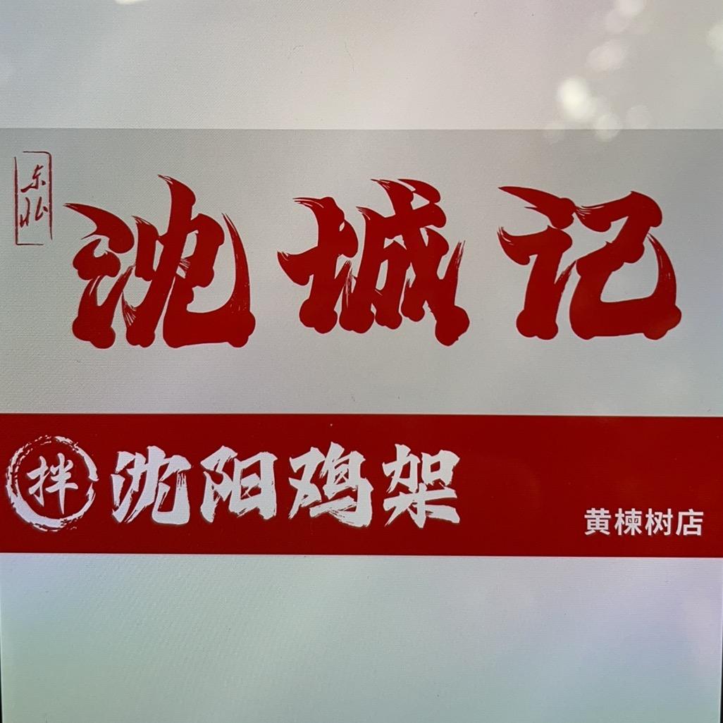 沈城记