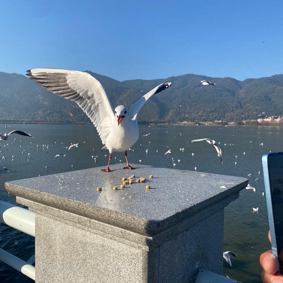 海云