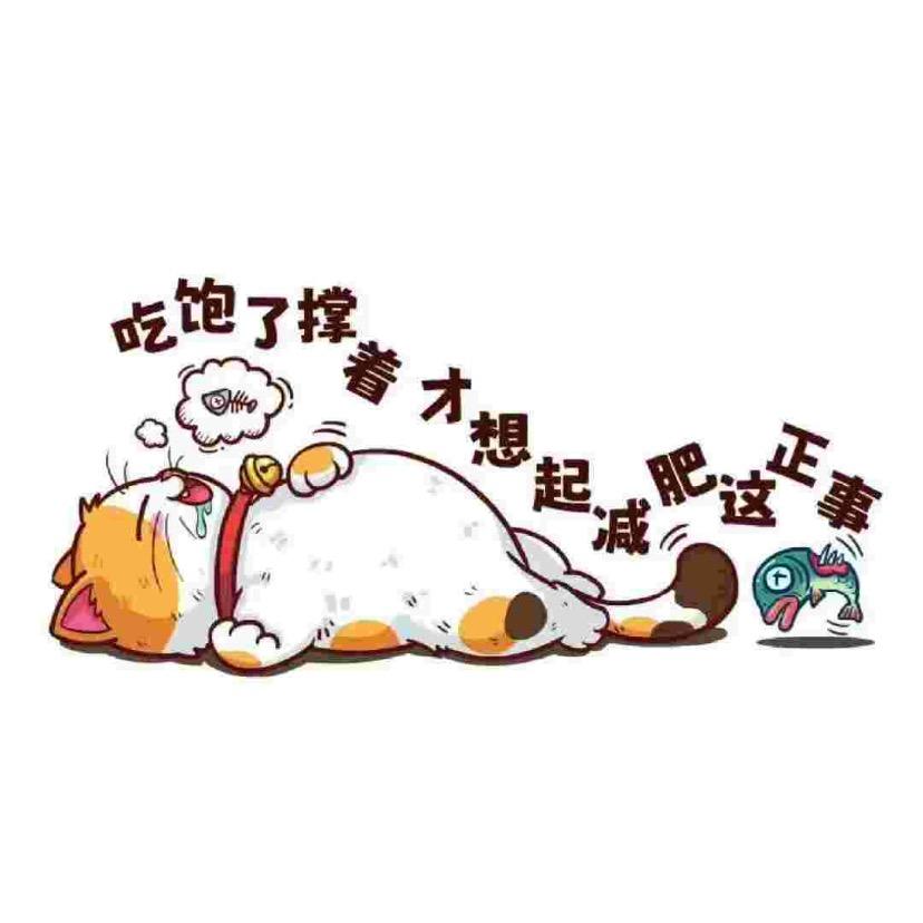 宛如自由的风