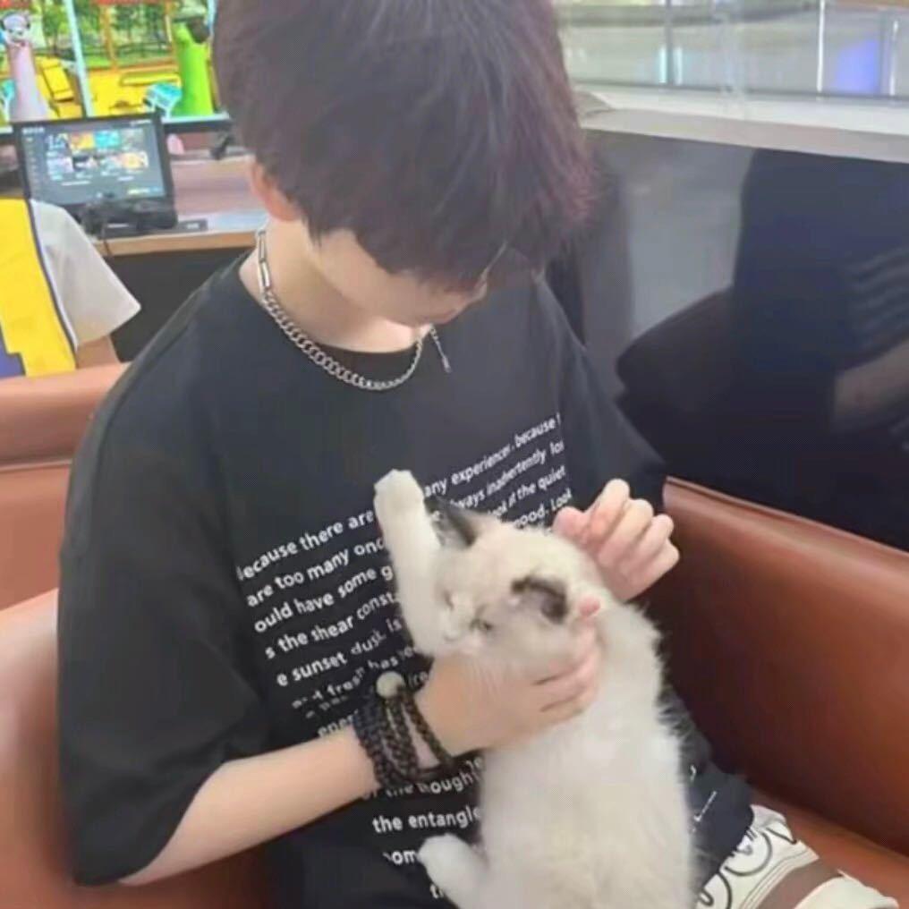 @睡大觉